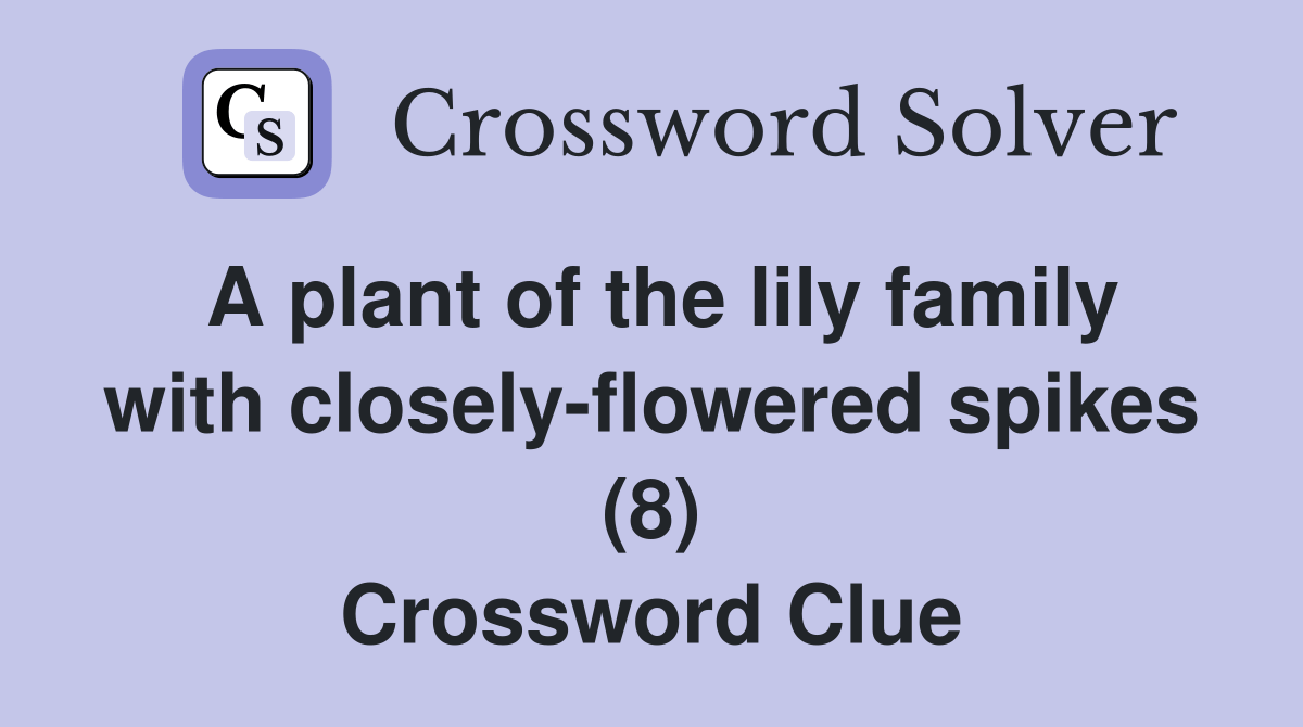 A plant of the lily family with closelyflowered spikes (8) Crossword